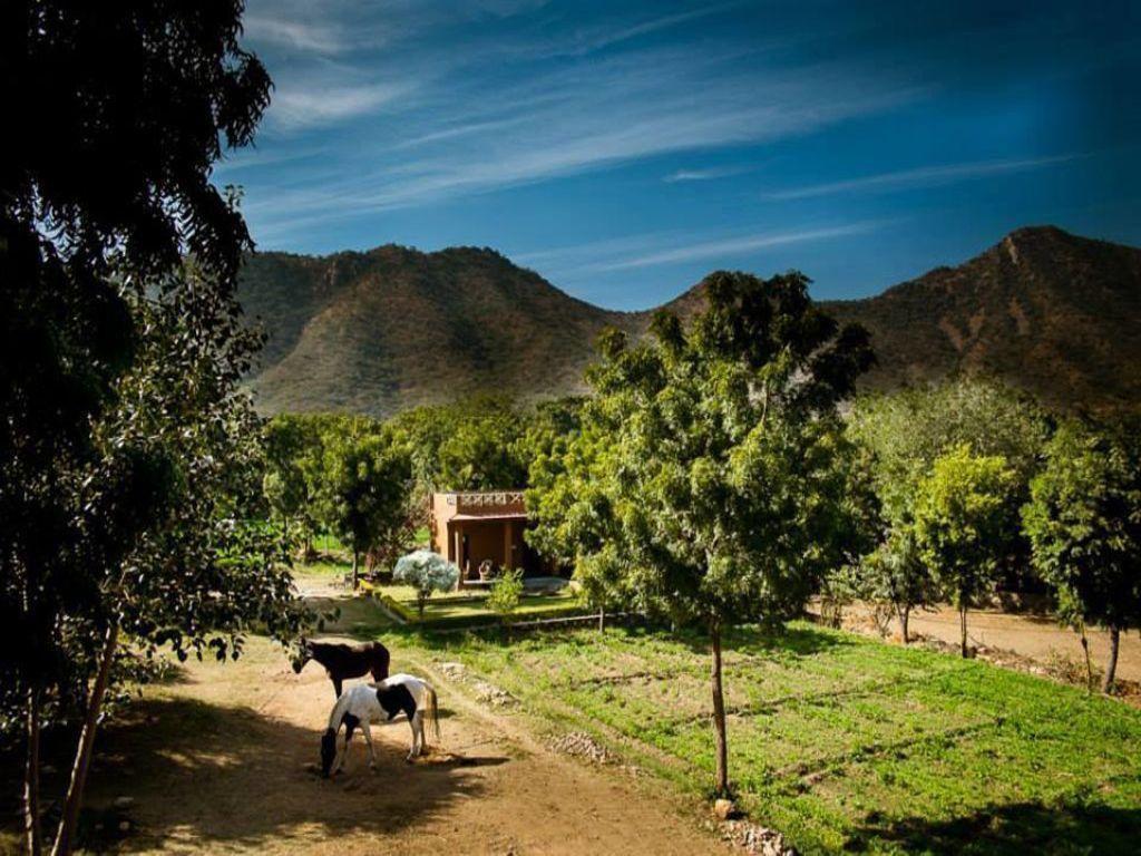 Villa Krishna Ranch Udaipur Exterior foto